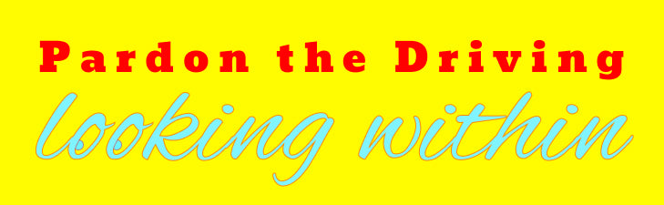 Pardon the Driving, Looking Within Bumper Sticker
