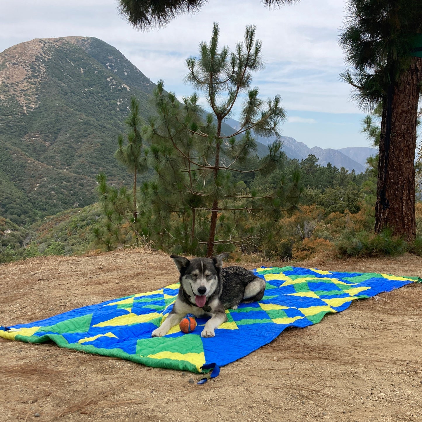 The Original Hammock Quilt
